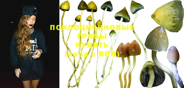 ПСИЛОЦИБИНОВЫЕ ГРИБЫ Вязьма