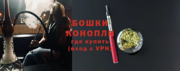 spice Вяземский
