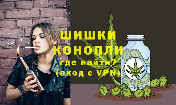 spice Вяземский
