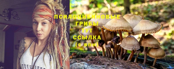 spice Вяземский