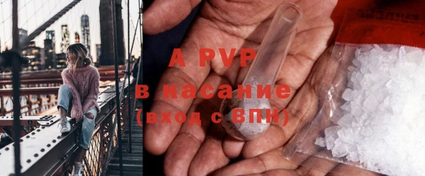 прущие грибы Бронницы